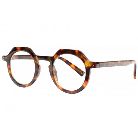 Lunettes Loupe Rondes Ecailles Marron Retro Pantos Wolt Lunette Loupe PresBello