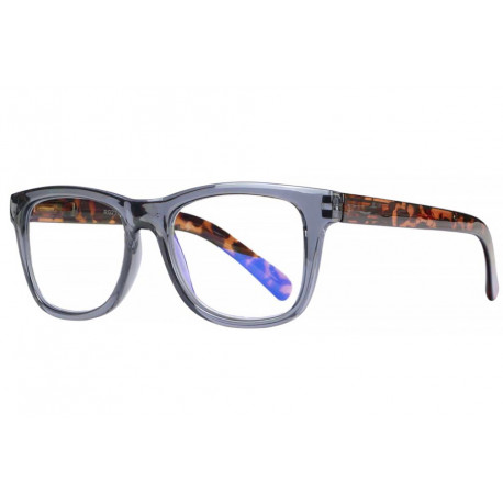 Lunettes Loupe Ecran Marron Ecailles Classe Anti Lumiere Bleue Zalyak Lunette Loupe ProLoupe