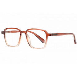 Lunettes Loupe Marrons Classes en Dégradé Tendance Seyker Lunette Loupe New Time