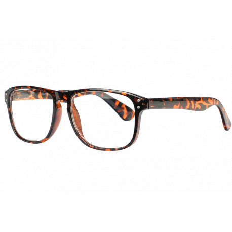 Grandes Lunettes Loupes Marron Ecailles Tendances Hemyng Lunette Loupe ProLoupe